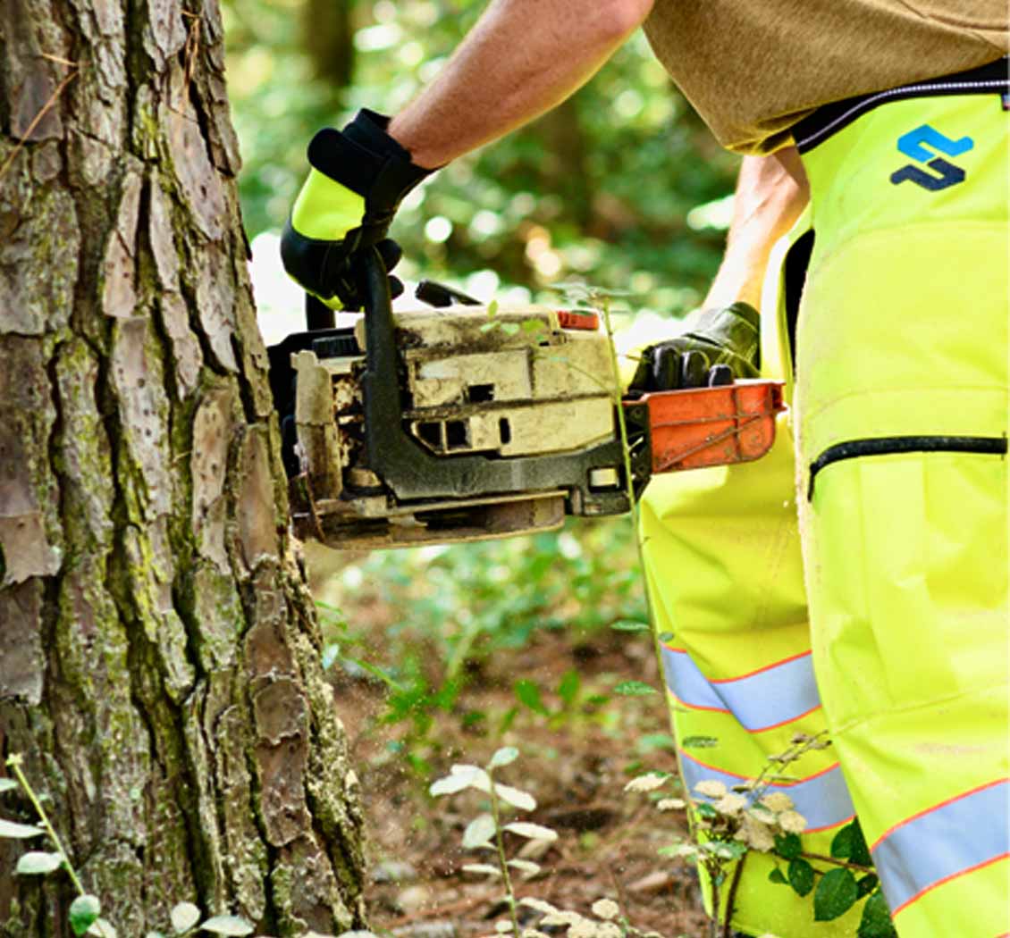 View from waist down of man in bright yellow hi vis SwedePro chainsaw chaps cutting down a tree